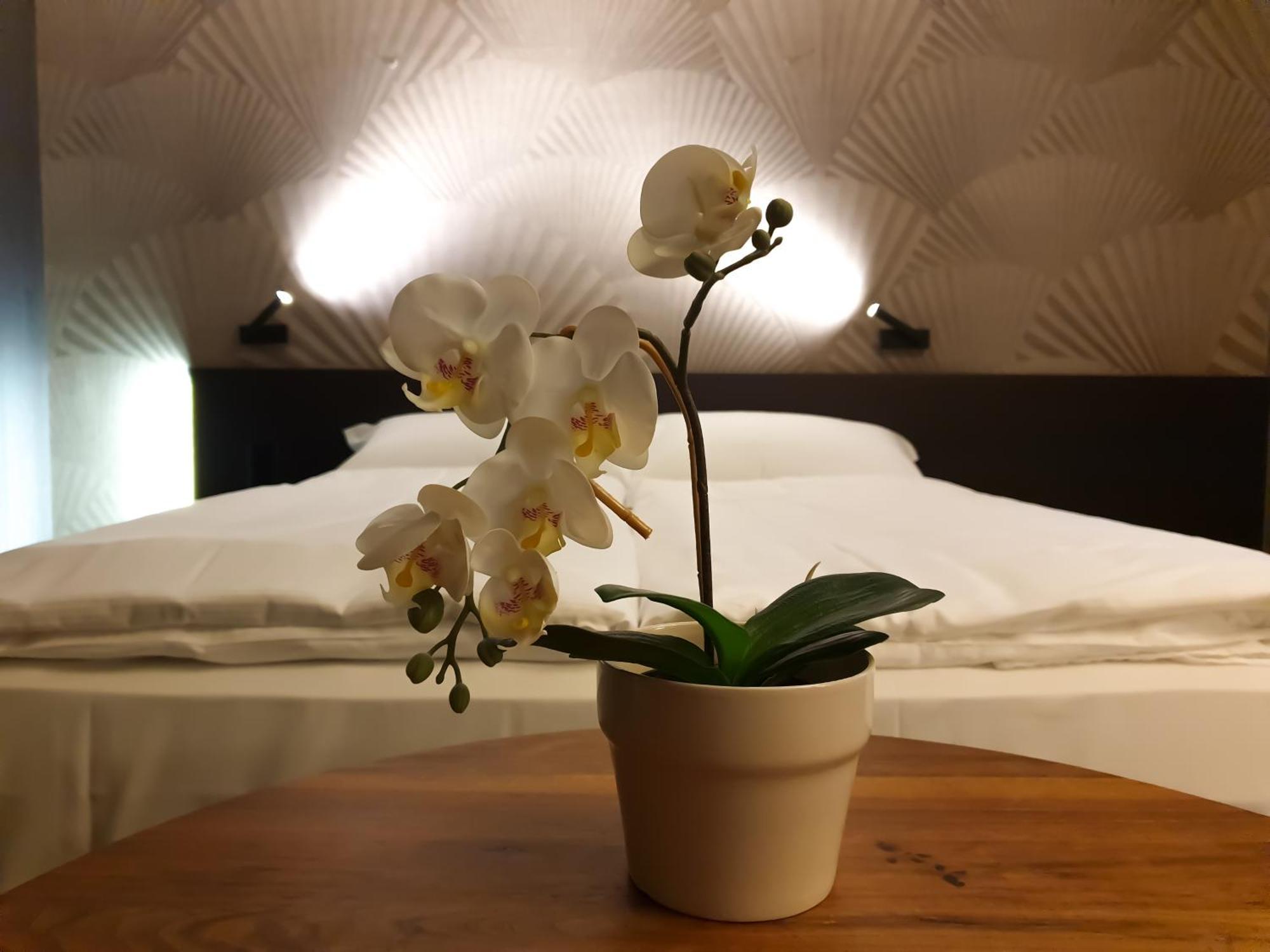 San Carlo Hotel Lugano